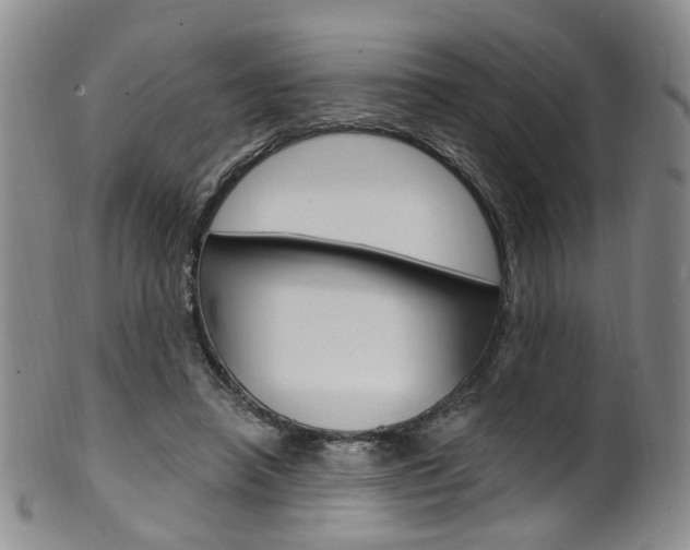 X0000101650450200807100944