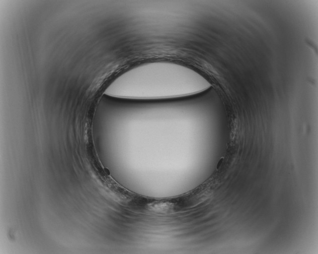 X0000101650452200807100944