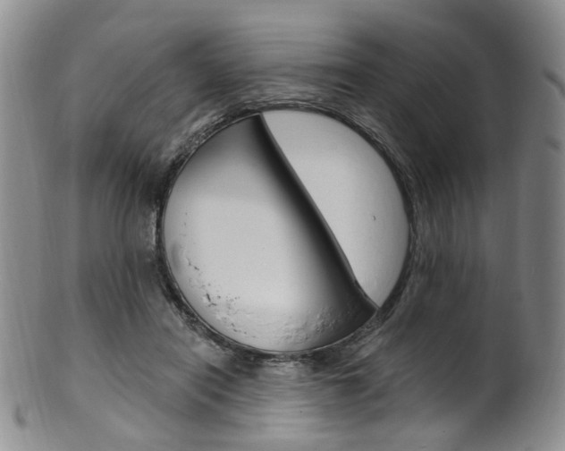 X0000101650454200807100944