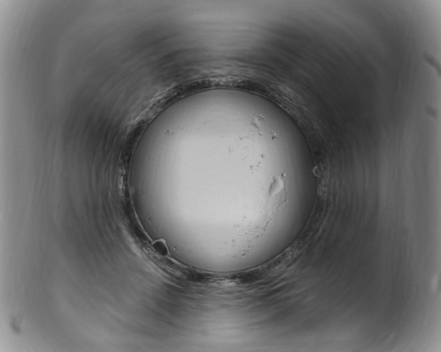 X0000101650456200807100944