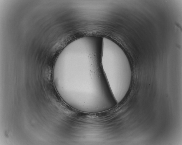 X0000101650458200807100944
