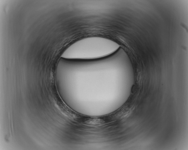 X0000101650459200807100944