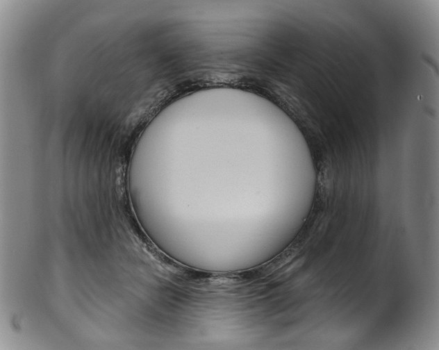X0000101650462200807100944