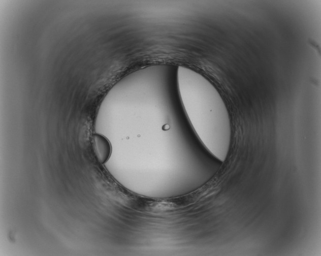 X0000101650463200807100944