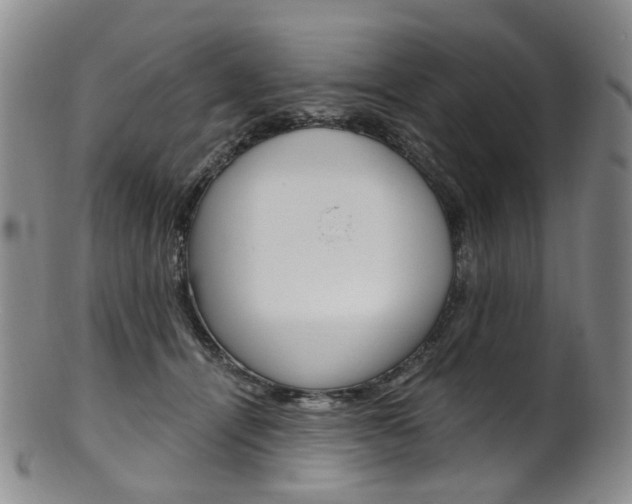 X0000101650464200807100944