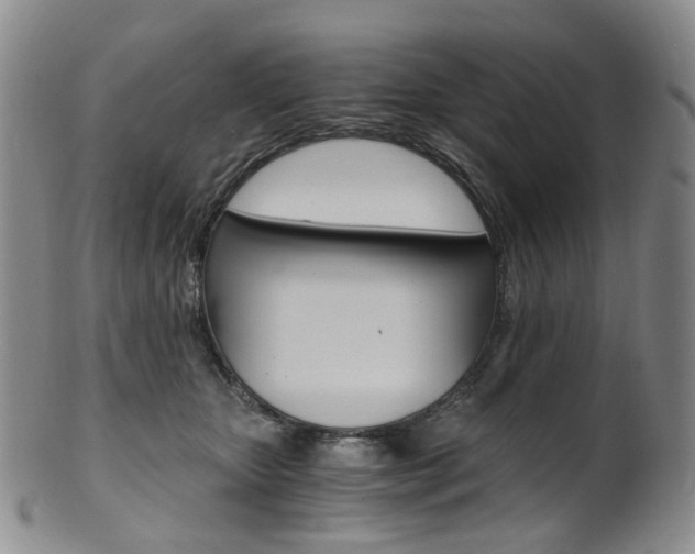 X0000101650467200807100944