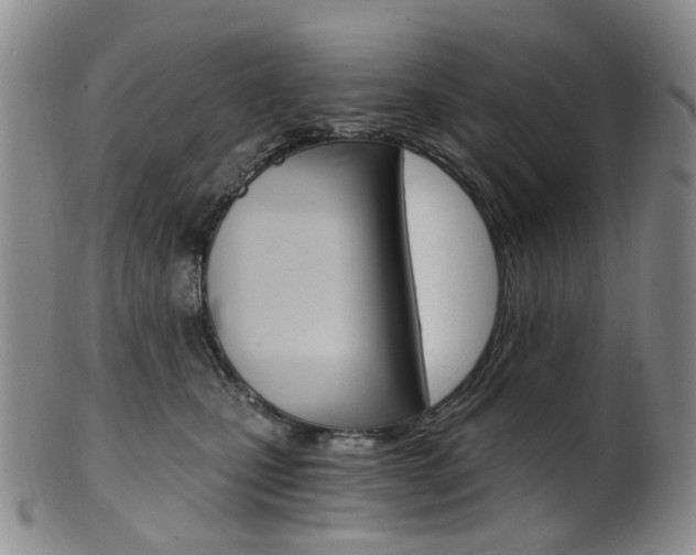 X0000101650471200807100944