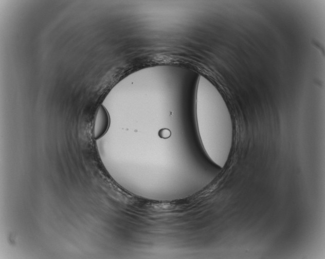 X0000101650473200807100944