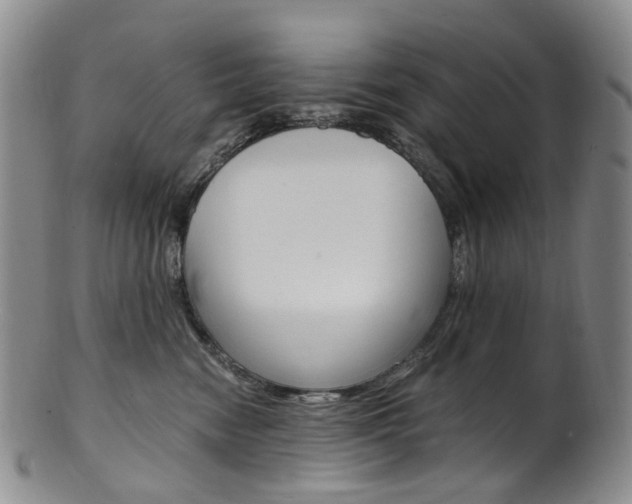 X0000101650474200807100944