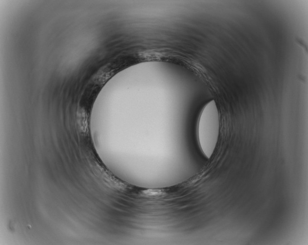 X0000101650477200807100944