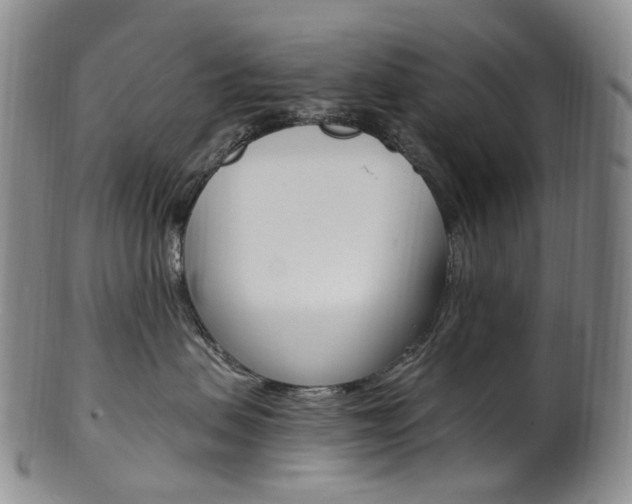 X0000101650479200807100944