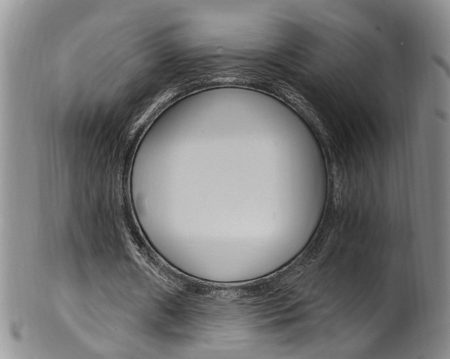 X0000101650482200807100944