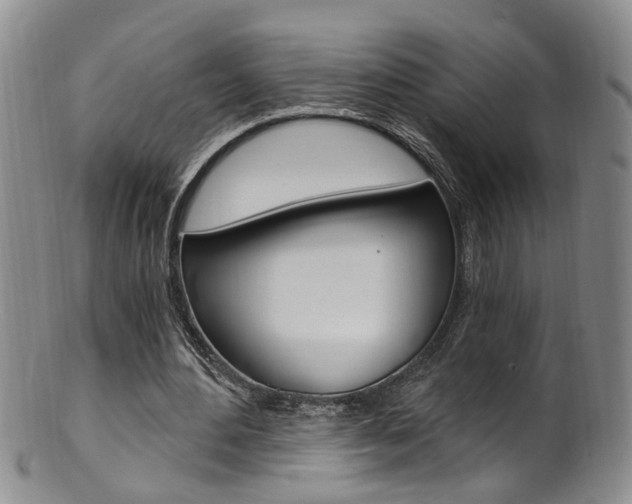 X0000101650484200807100943