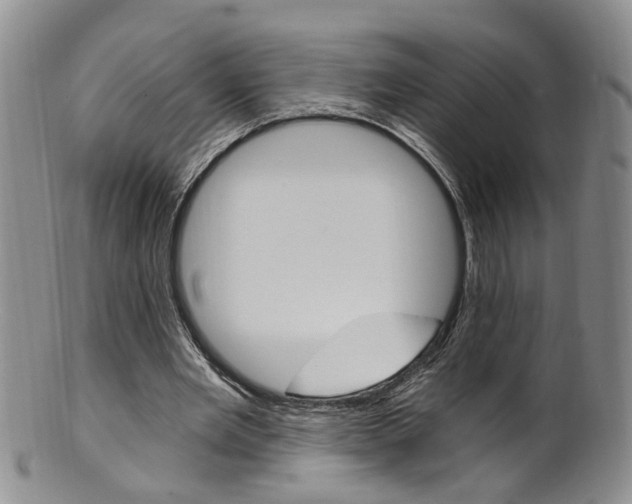 X0000101650485200807100943
