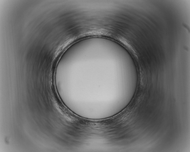 X0000101650486200807100943