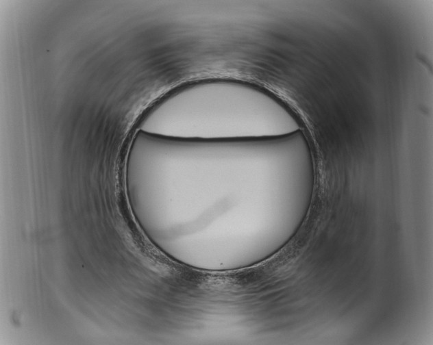 X0000101650487200807100943