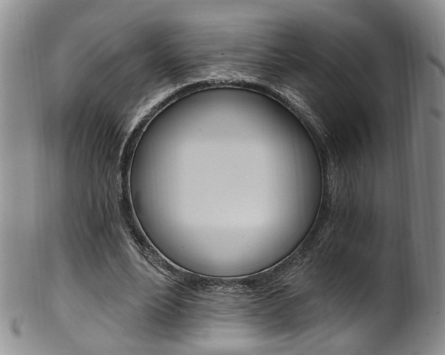 X0000101650488200807100943