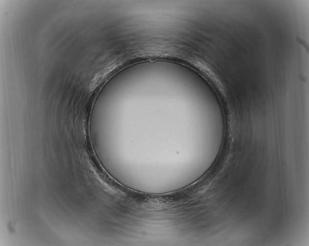 X0000101650489200807100943