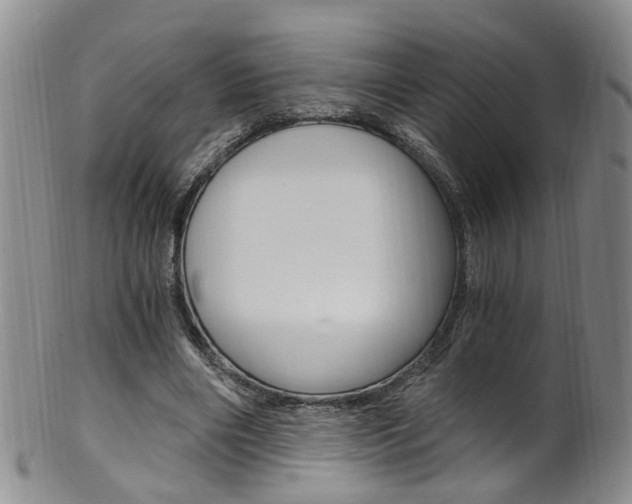 X0000101650490200807100943