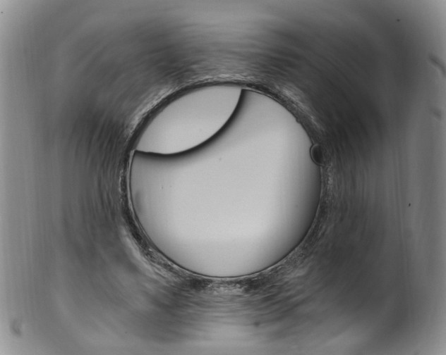 X0000101650491200807100943