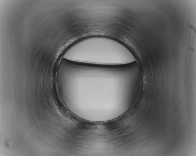X0000101650492200807100943