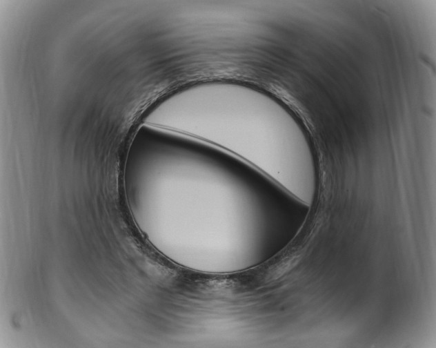X0000101650493200807100943