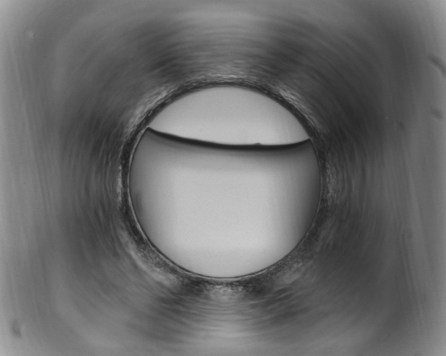 X0000101650494200807100943