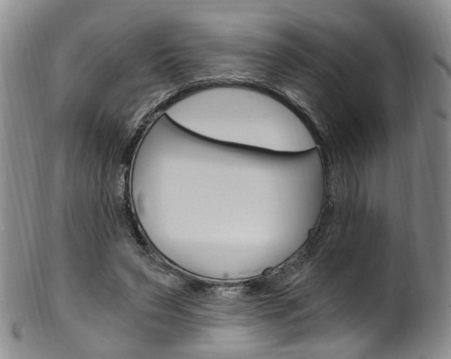 X0000101650495200807100943