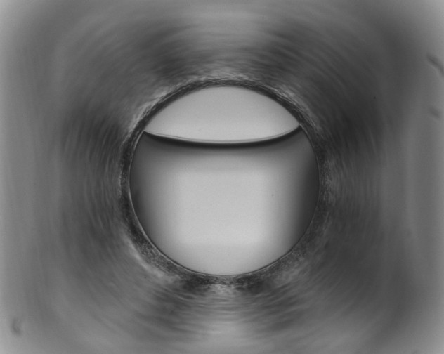 X0000101650496200807100943