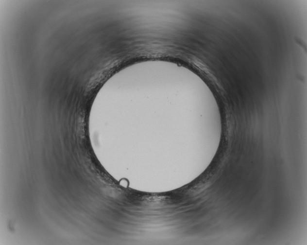X0000101650497200807100943