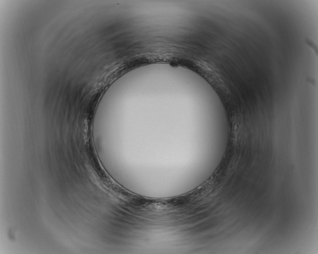 X0000101650498200807100943