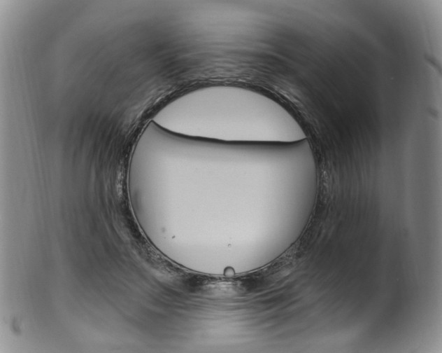 X0000101650499200807100943