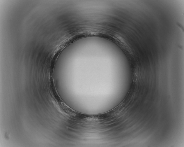 X0000101650500200807100943