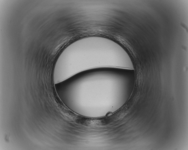 X0000101650501200807100943