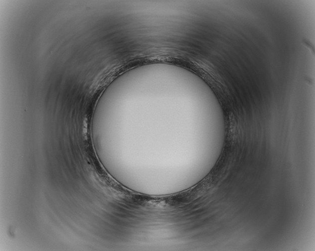 X0000101650502200807100943