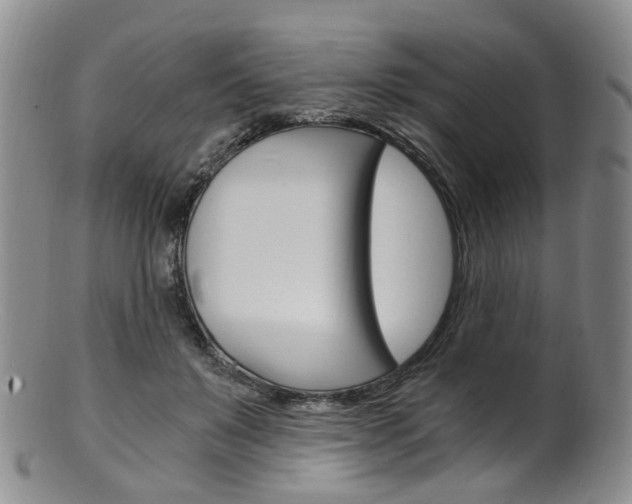 X0000101650503200807100943