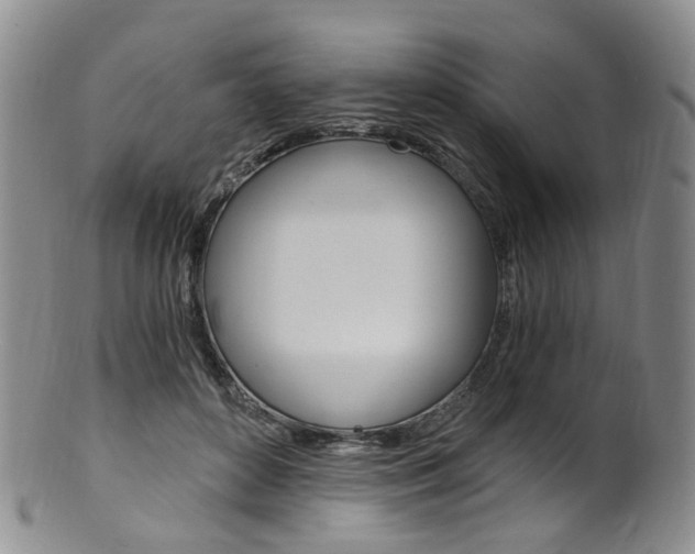 X0000101650504200807100943
