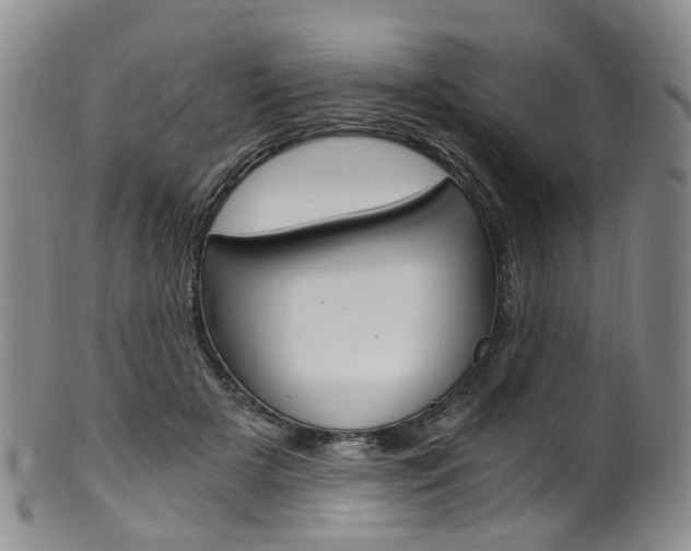 X0000101650505200807100943