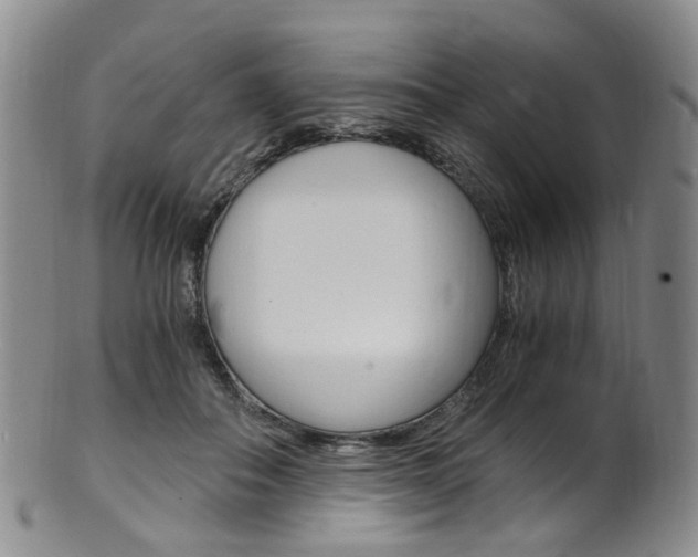 X0000101650506200807100943