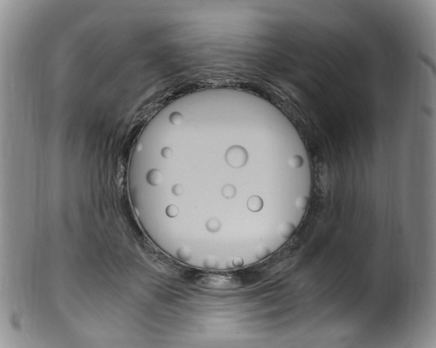 X0000101650507200807100943