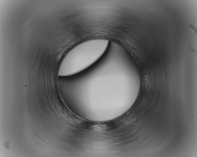 X0000101650508200807100943