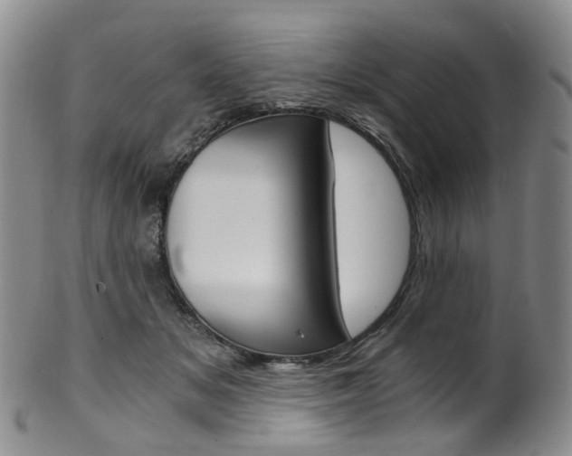 X0000101650509200807100943