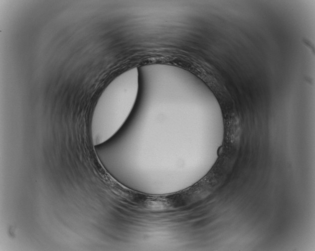 X0000101650510200807100943