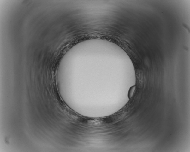 X0000101650511200807100943
