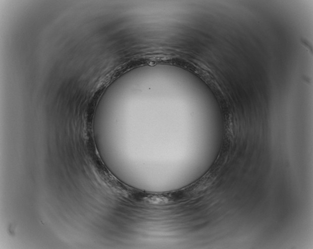 X0000101650512200807100943