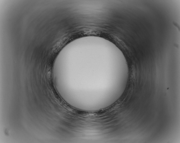 X0000101650513200807100943