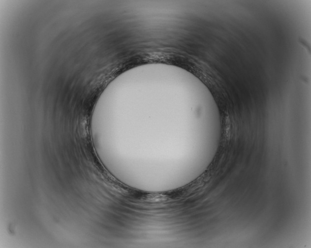 X0000101650514200807100943