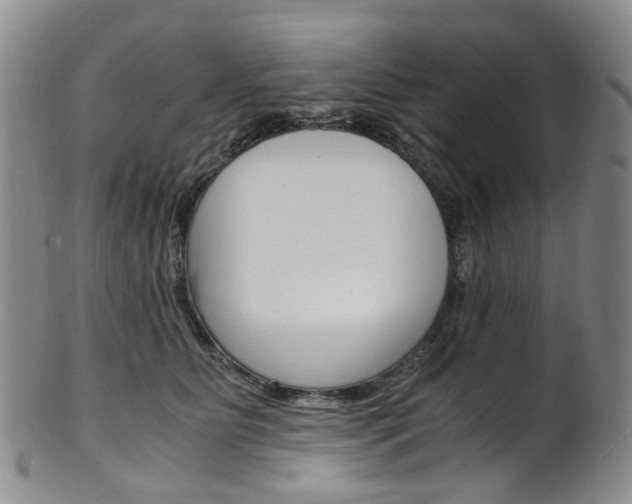 X0000101650515200807100943