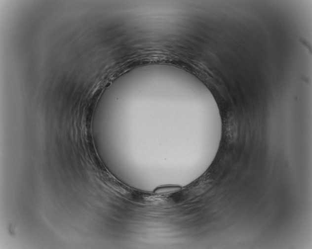 X0000101650516200807100943