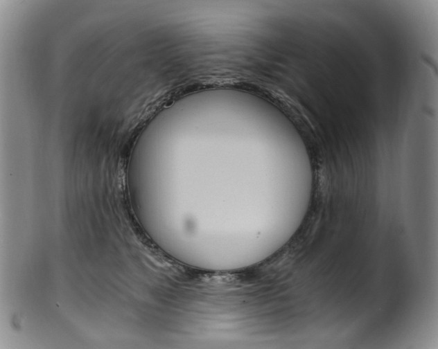 X0000101650517200807100943